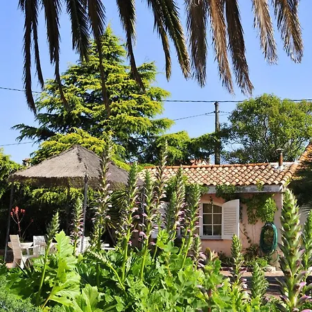 Village Le Kangourou By Popinns 2* Frejus