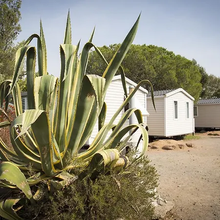 Village Le Kangourou By Popinns Fréjus